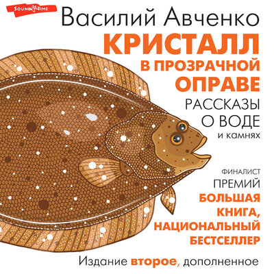 Обложка: Василий Авченко. «Кристалл в прозрачной оправе»