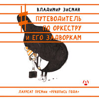 Обложка: Владимир Зисман. «Путеводитель по оркестру и его задворкам»
