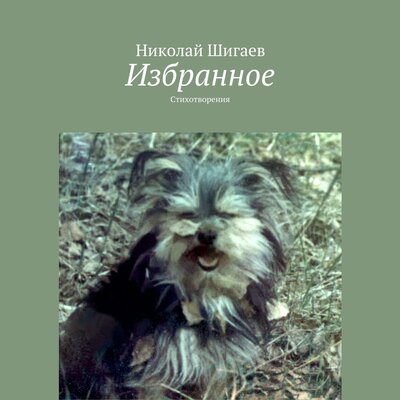 Обложка: Николай Шигаев. «Избранное»