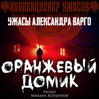 Обложка: Александр Варго. «Оранжевый домик»