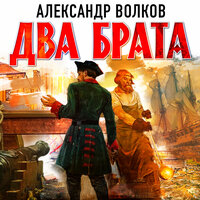 Обложка: Александр Волков. «Два брата»