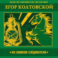 Обложка: Егор Колтовской. «Из записок следователя»