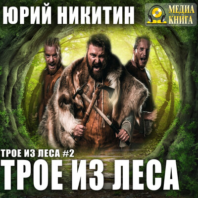 Обложка: Юрий Никитин. «Трое из леса. Серия " Трое из леса". Книга #2»