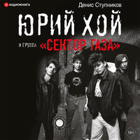 Обложка: Ступников Денис. «Юрий Хой и группа „Сектор Газа“»