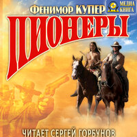 Обложка: Джеймс Фенимор Купер. «Пионеры, или У истоков Саскуиханны»