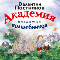 Обложка: Валентин Постников. «Академия мохнатых волшебников»