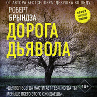 Обложка: Роберт Брындза. «Дорога дьявола»