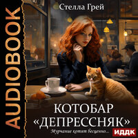 Обложка: Грей Стелла. «Котобар "Депрессняк"»