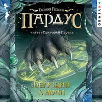 Обложка: Евгений Гаглоев. «Пардус. Бегущий в ночи»
