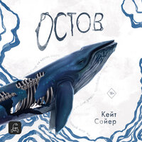 Обложка: Кейт Сойер. «Остов»