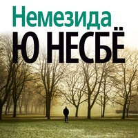 Обложка: Ю Несбё. «Немезида»