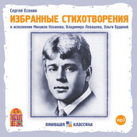 Обложка: Сергей Есенин. «Избранные стихотворения»