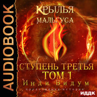 Обложка: Инди Видум. «Крылья Мальгуса. Ступень третья. Том 1»