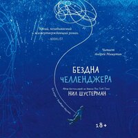 Обложка: Нил Шустерман. «Бездна Челленджера»