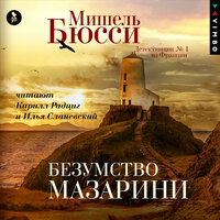 Обложка: Мишель Бюсси. «Безумство Мазарини»