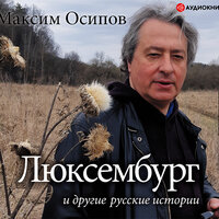 Обложка: Осипов Максим. «Люксембург и другие русские истории»
