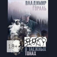 Обложка: Владимир Гораль. «Нуар в таёжных тонах»
