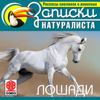 Обложка: Коллектив авторов. «Рассказы классиков о животных. Лошади»