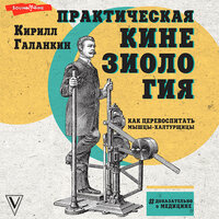 Обложка: Кирилл Галанкин. «Практическая кинезиология: как перевоспитать мышцы-халтурщицы»