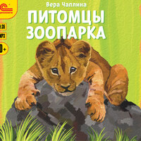 Обложка: Вера Чаплина. «Питомцы зоопарка»