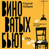 Обложка: Кубрин Сергей. «Виноватых бьют»