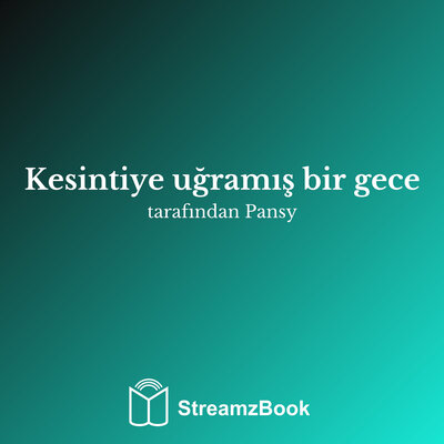 Обложка: Kesintiye uğramış bir gece