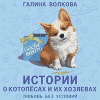 Обложка: Галина Волкова. «Истории о котопёсах и их хозяевах»