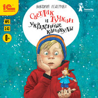 Обложка: Виктория Ледерман. «Светлик Тучкин и украденные каникулы»