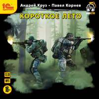 Обложка: Андрей Круз, Павел Корнев.. «Короткое лето»