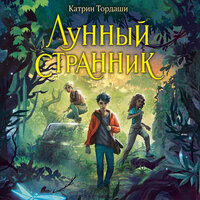 Обложка: Катрин Тордаши. «Лунный странник»