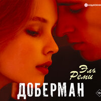 Обложка: Реми Эль. «Доберман»