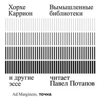 Обложка: Хорхе Каррион. «Вымышленные библиотеки»