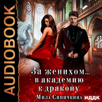 Обложка: Мила Синичкина. «За женихом... В академию к дракону»
