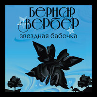 Обложка: Бернар Вербер. «Звездная бабочка»