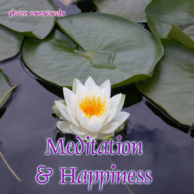 Обложка: Meditation and Happiness