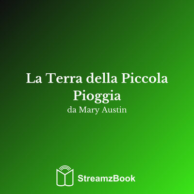 Обложка: La Terra della Piccola Pioggia