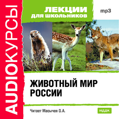 Обложка: Лекции для школьников. «Животный мир России»