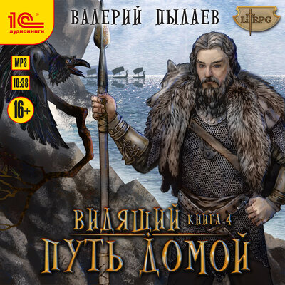 Обложка: Валерий Пылаев. «Видящий. Путь домой»