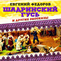 Обложка: Евгений Федоров. «Шадринский гусь и другие рассказы»