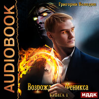Обложка: Володин Григорий. «Возрождение Феникса. Книга 1»