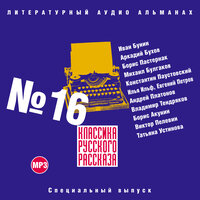 Обложка: Коллектив авторов. «Классика русского рассказа № 16»