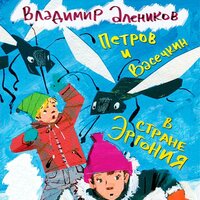 Обложка: Владимир Алеников. «Петров и Васечкин в стране Эргония»