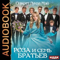 Обложка: Олкотт  Луиза Мэй. «Роза и семь братьев»
