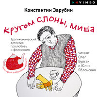 Обложка: Константин Зарубин. «Кругом слоны, Миша»