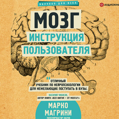 Обложка: Магрини Марко. «Мозг. Инструкция пользователя»