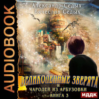 Обложка: Седых Александр, Седых Вячеслав. «Великолепные зверята и чародей из Арбузовки. Книга 3. Против Колдовского мира»