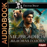 Обложка: Гюстав Эмар. «Медвежонок Железная Голова»