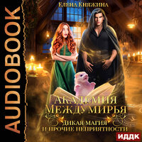 Обложка: Елена Княжина. «Академия Междумирья. Дикая магия и прочие неприятности»