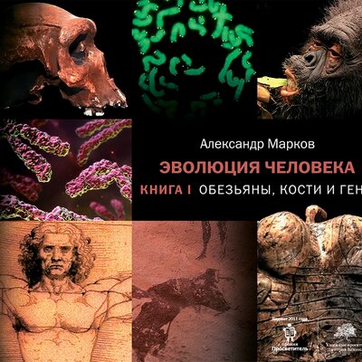 Обложка: Александр Владимирович Марков. «Эволюция человека. Книга 1. Обезьяны, кости и гены»
