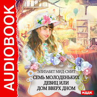 Обложка: Мид-Смит Элизабет. «Семь молоденьких девиц, или Дом вверх дном»